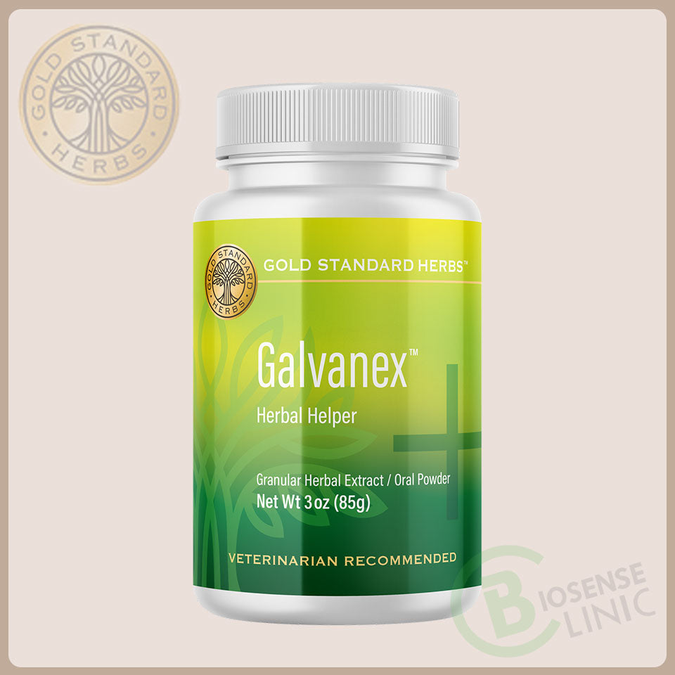 Buy Galvanex for Pets – Qi Support & Vitality | BiosenseClinic